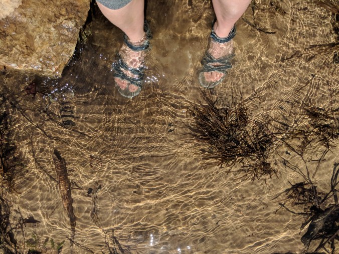 Maker:0x4c,Date:2017-11-10,Ver:4,Lens:Kan03,Act:Lar01,E-Y